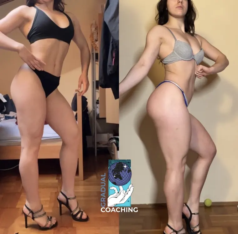 Transformacija stranke Gradual Coaching